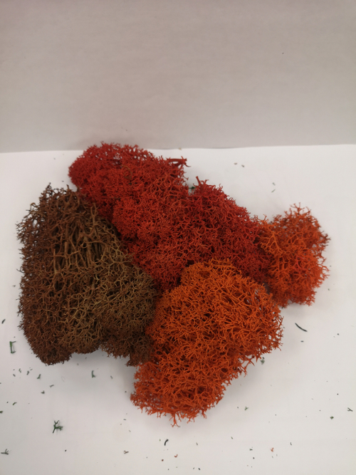 Мох для изготовления кустов и деревьев (корич., красный, оранж.)