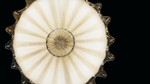 Светильник Barovier&Toso Fanali Veneziani