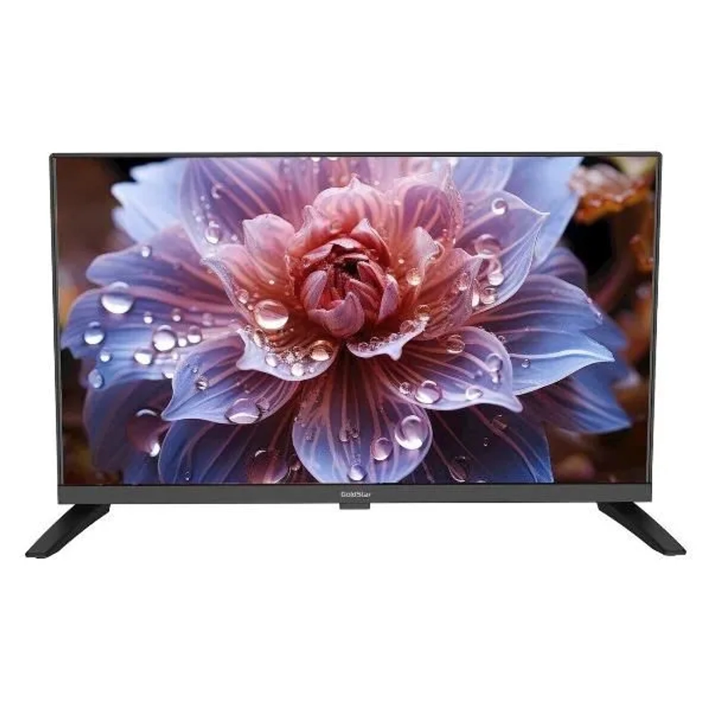 Телевизор GOLDSTAR 24" LT-24R1000 черный DLED HD 60Hz