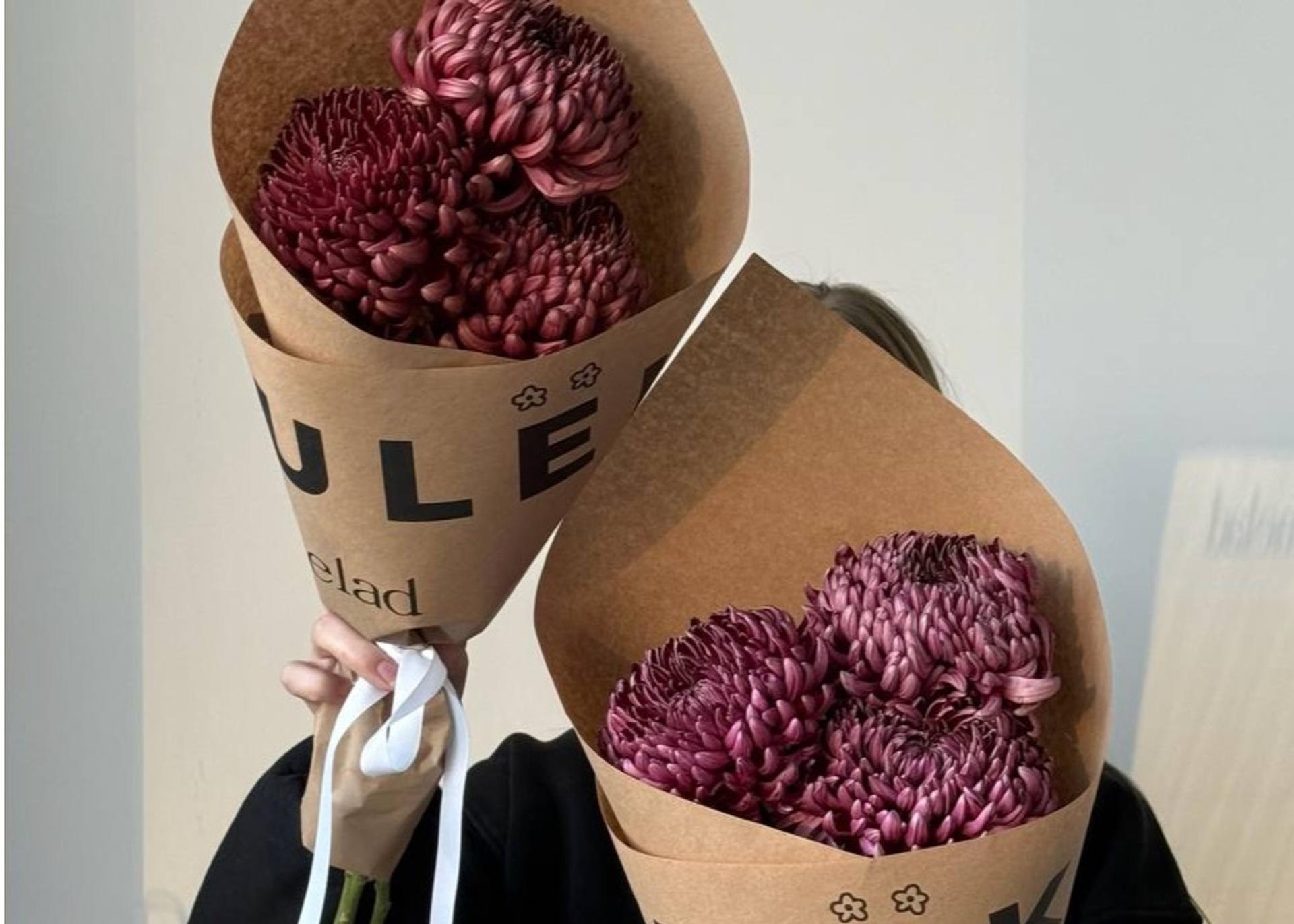 Kulek теперь осенний