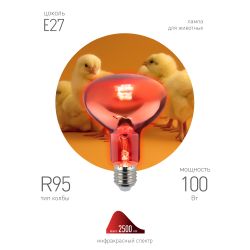 Инфракрасная лампа ЭРА ИКЗК 230-100 R95 E27 для обогрева животных и освещения 100 Вт | Инфракрасные лампы