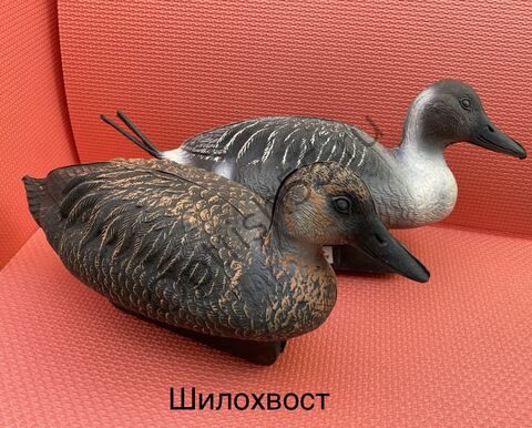 Утка пластиковая Шилохвост