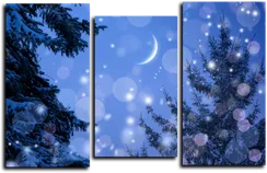 Модульная картина "Зимнее новолуние"