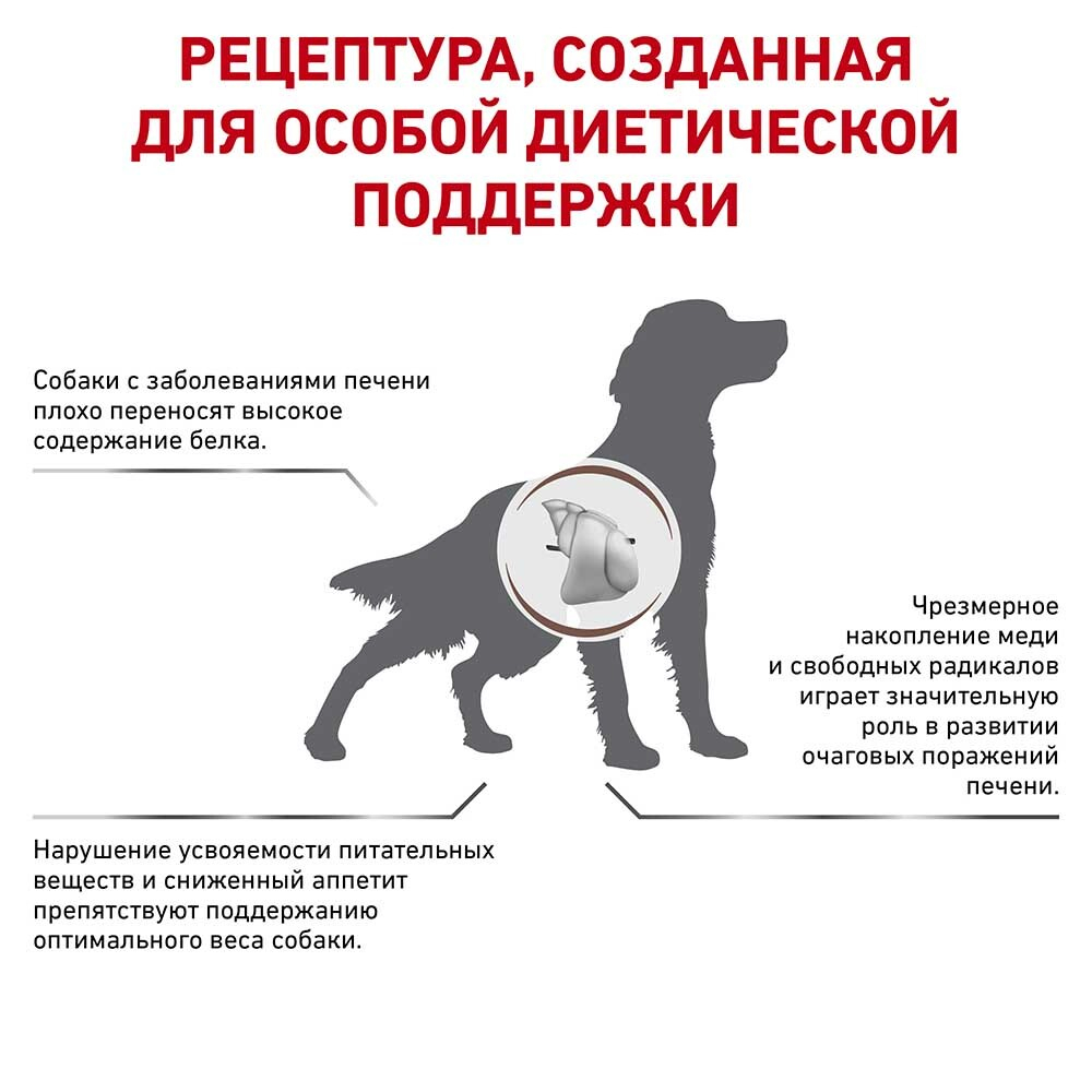 Royal Canin VET Hepatic Canine - диета для собак с заболеваниями печени