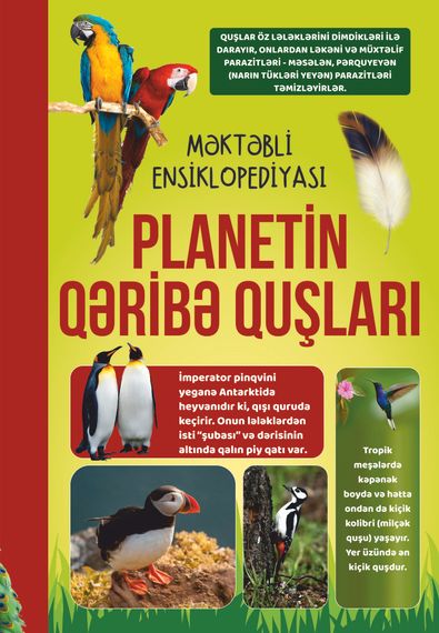 Planetin qəribə quşları