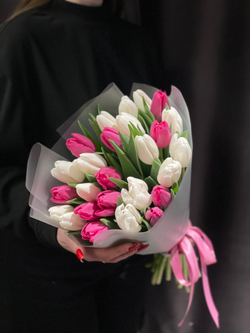 25 бело-розовых тюльпанов