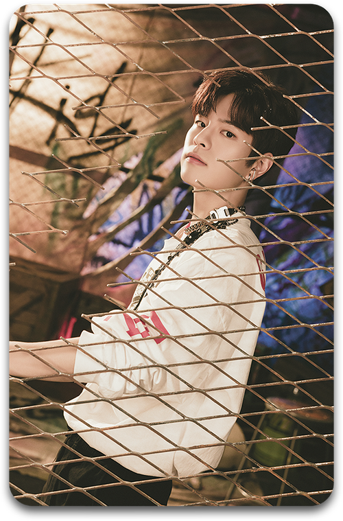 Карта / STRAY KIDS #3025