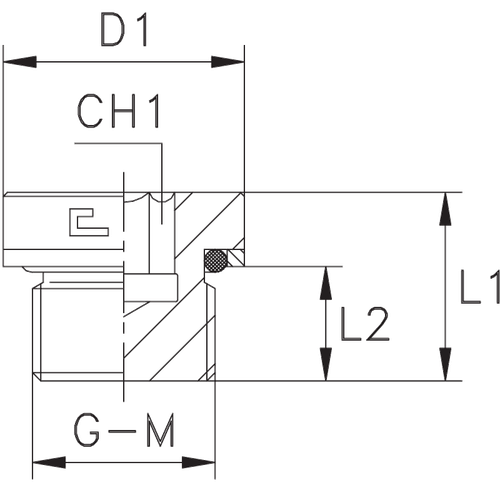Заглушка V (Ш) BSP 1.1/4 o-ring