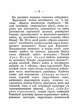 Лук, его сорта и способы разведения | Ростовцев Петр Васильевич