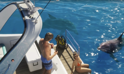 Grand Theft Auto VI (GTA 6): Standard Edition (для PS5, интерфейс и субтитры на русском языке) [услуга выкупа игры в аккаунт PSN UA]