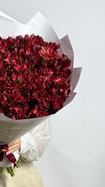 Бордовый закат