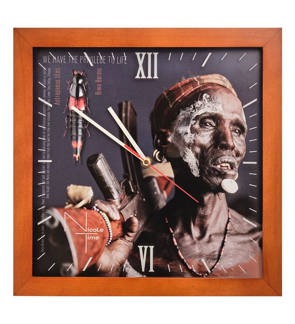 Салют SLT-193 Часы настенные «Biwa Bermo»