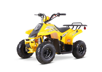 Квадроцикл SHARMAX 130 Cross