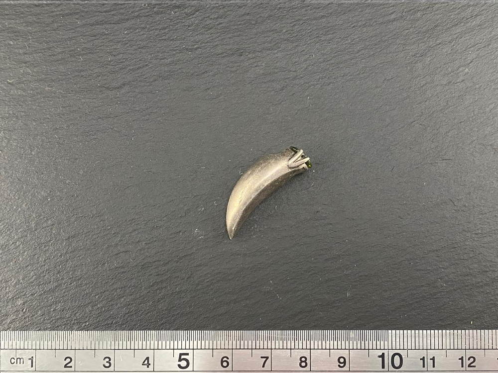 Подвеска "Клык с камнем"