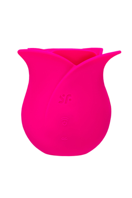Вакуум-волновой стимулятор клитора Satisfyer Pro 2 Modern Blossom, бордовый
