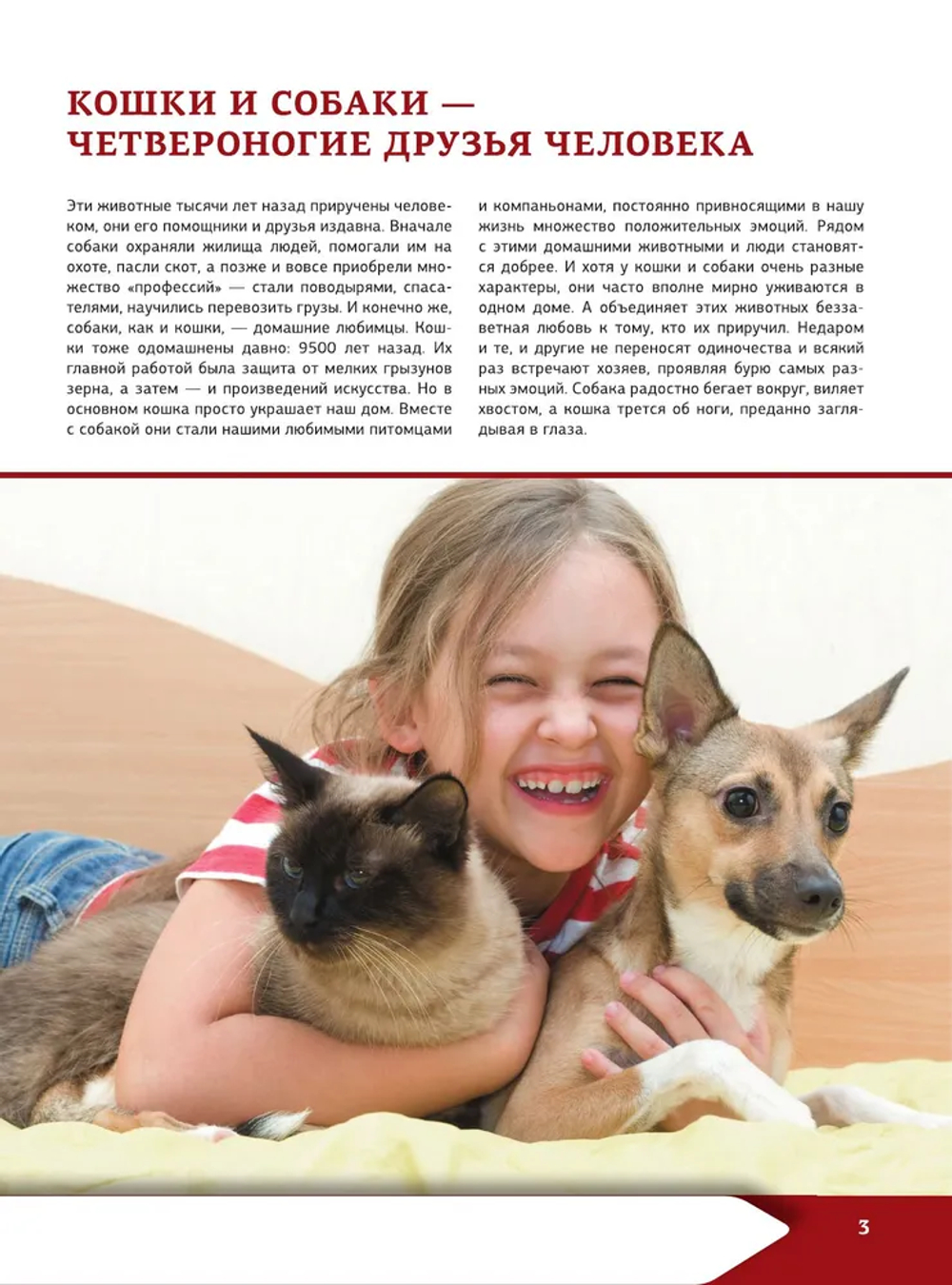 Большая энциклопедия о кошках и собаках