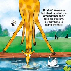 How to Bath a Giraffe