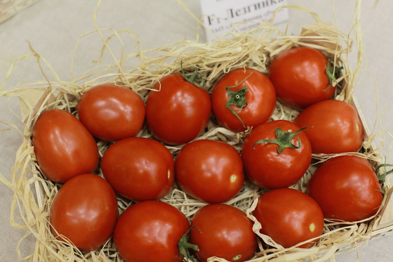 Лезгинка F1 семена томата индетерминантного (Гавриш) – фото 4