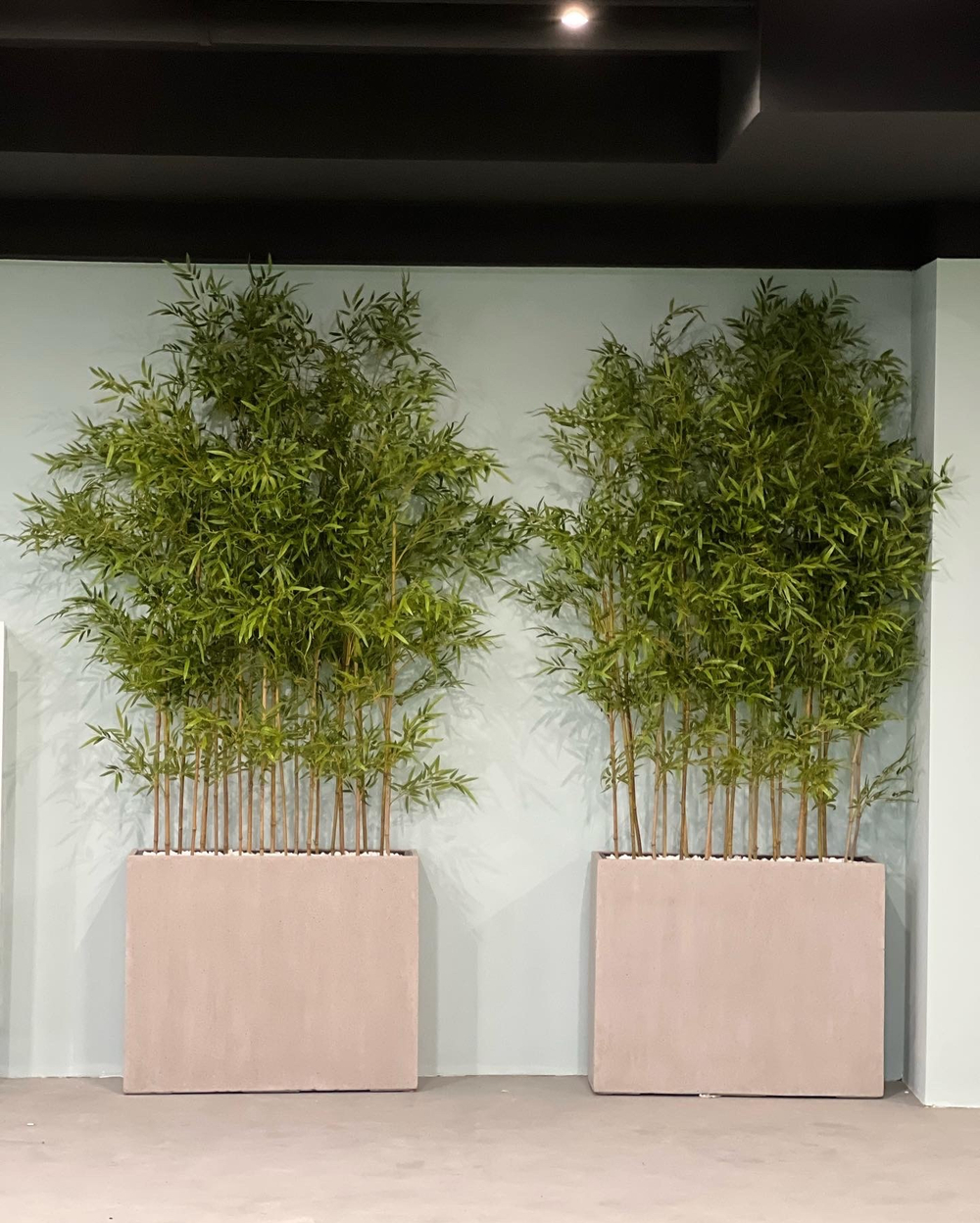 5.23. Искусственный бамбук в кашпо для ЖК «Development Plaza»