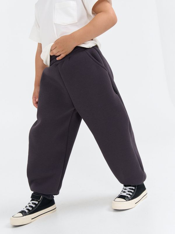 Джоггеры оверсайз 