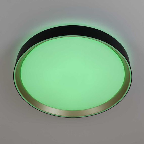 Потолочный светодиодный светильник Citilux Boss CL751351G