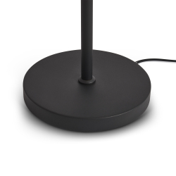 Напольный светильник (торшер) Freya FR5553FL-L20B