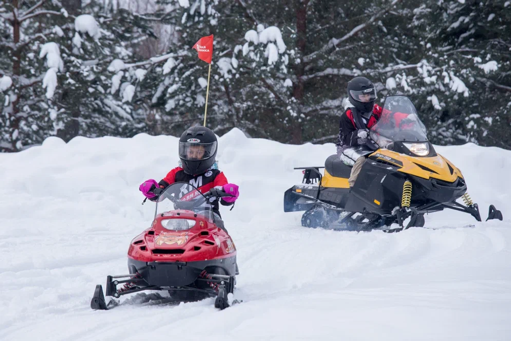 Снегоход РМ ТАЙГА РЫСЬ