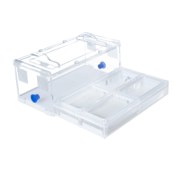 муравьиная ферма Direct