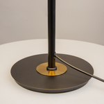 Настольный светильник Maytoni MOD348TL-L14BBS3K