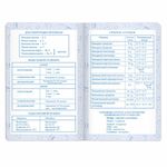 Дневник для музыкальной школы 48 л., обложка кожзам гибкая, термотиснение, BRAUBERG, зеленый, 105496