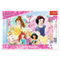 Puzzle &quot;15 Frame&quot; - Cute  Princesses / Disney Princess
