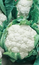 Семена Капуста цветная Сноуболл 123 0,25гр (УД) Е/П