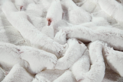 Плед 220x240 Sofi De MarkO Адриана №3