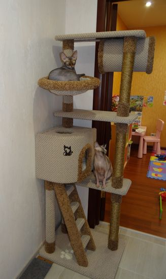 Домик для кошки С-12