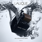 Lalique Encre Noire pour Homme EDT