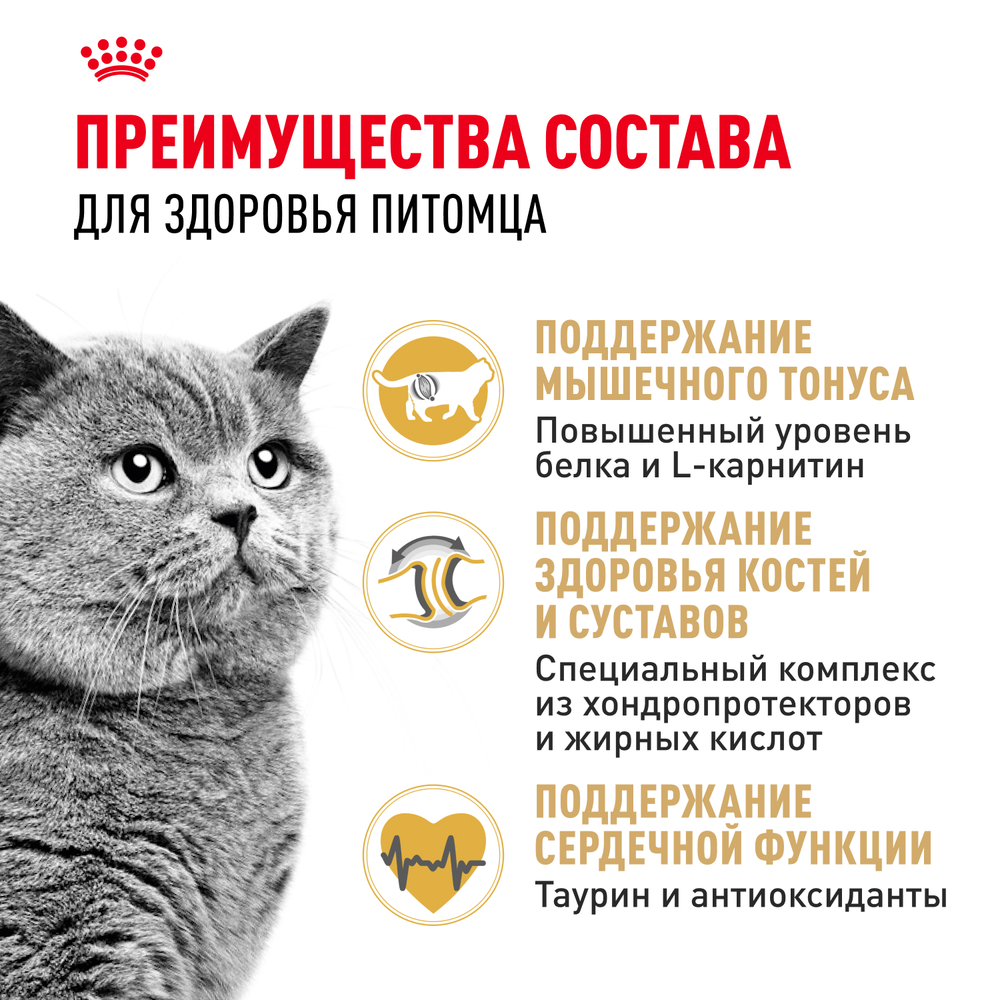 Royal Canin British Shorthair Adult (БРИТАНСКАЯ КОРОТКОШЕРСТНАЯ ЭДАЛТ) Корм сухой для взрослых британских кошек 4кг