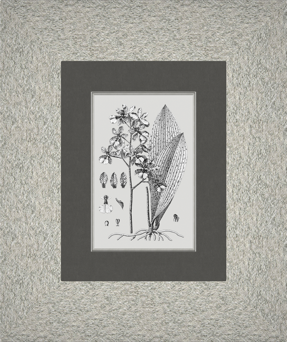 Картина 053 (X)