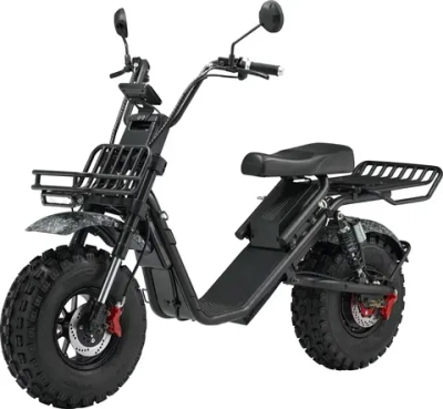 Электроскутер Skyboard Kamchatka 3000W с корзиной
