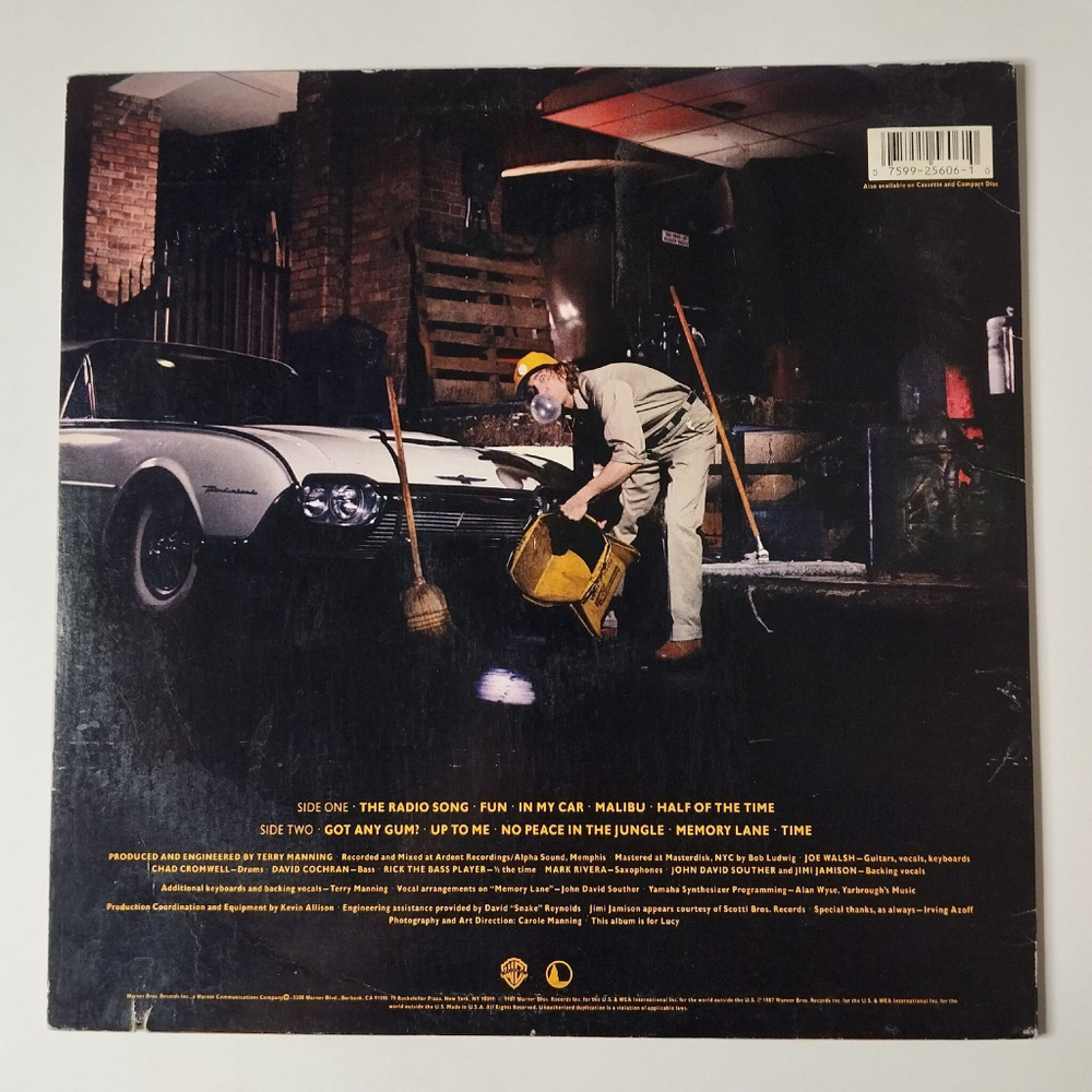 Винтажная виниловая пластинка LP Joe Walsh Got Any Gum (USA 1987)