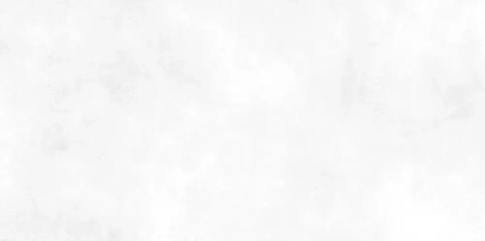 Настенная плитка ALMA Ceramica TWU09RCD000 Richard 50x24.9 белая глянцевая под бетон