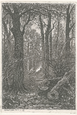 Шишкин Иван Иванович. На порубке. 1873 г. Бумага, офорт.