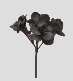 TR 614HM1 Плумерия 5 бутонов без листьев