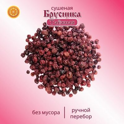 Брусника Алтайская "Таёжная"