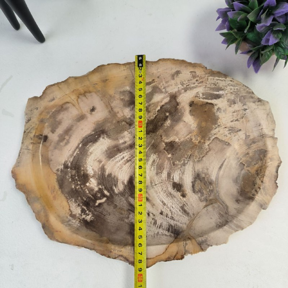 Набор из окаменелого дерева 4 предм Fossil Set NF-62871 поднос 29см*36см