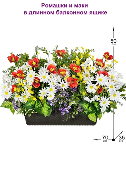 Ромашки и маки в длинном балконном ящике