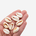 Ракушки Каури без отверстия, 18-20мм