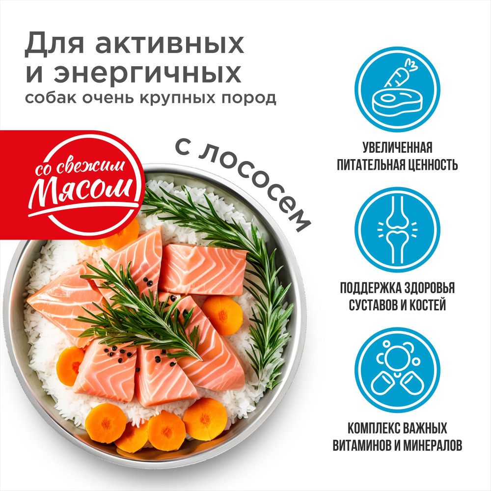 Корм сухой для взрослых собак очень крупных пород, премиум полнорационный комплекс, для активных и энергичных собак, с лососем, 2,5 кг, QUATTRO