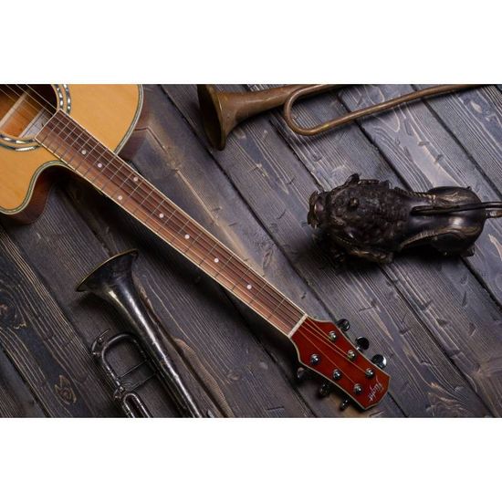 Гитара акустическая FLIGHT F-230C NA