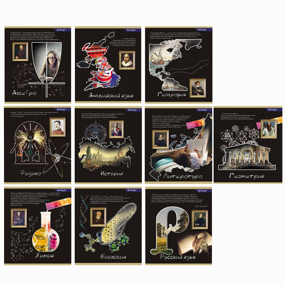 Комплект предметных тетрадей А5 36л., 10 предметов, со справочным материалом, на скрепке, мелованный картон (стандарт), Alingar "К доске!"