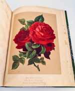 "Nestel`s Rosengarten. [  Сад роз Нестела]". E. Schweizerbartsche Verlagshandlung. 1869г.